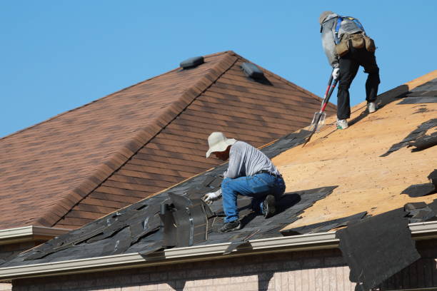 Best Roof Maintenance and Cleaning  in Energy, IL